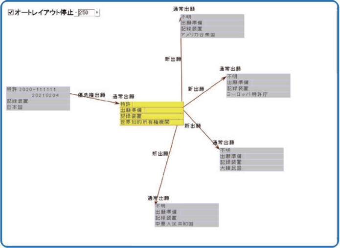IP Vision 外国管理