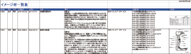 IP Vision 帳票作成