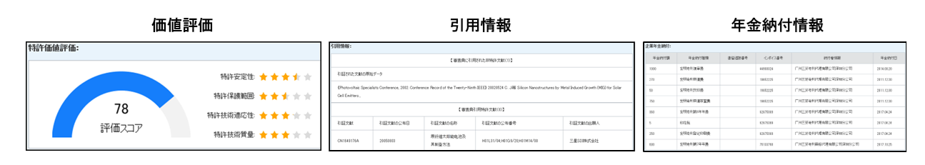 CNIPR日本語版表示機能